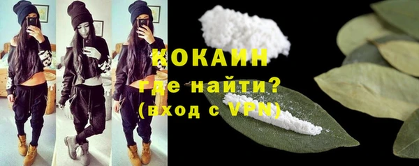 прущие грибы Вязники