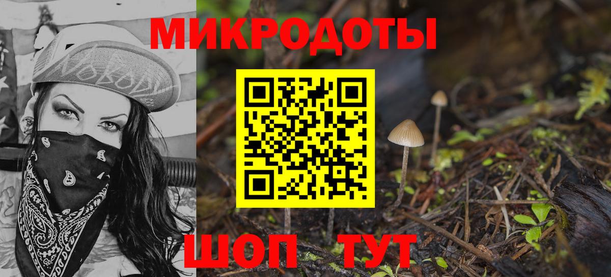 Псилоцибиновые грибы Psilocybe  Псилоцибиновые грибы Psilocybine cubensis  Вход с VPN  Сланцы 